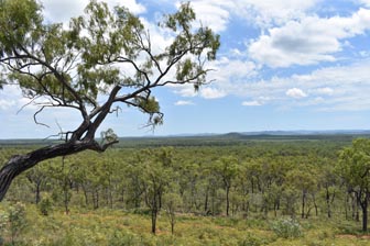 Ironbark House Dimbulah farmstays bird tours outback bush accommodation