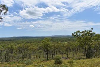 Ironbark House Dimbulah farmstays bird tours outback bush accommodation